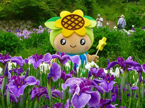 きれいに咲くしょうぶの花に囲まれてハイ！チーズ(写真1)