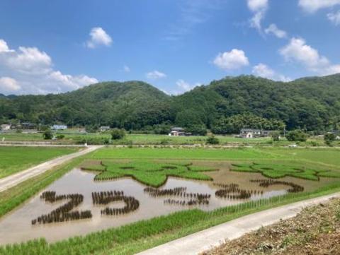 アート田んぼ(林崎)