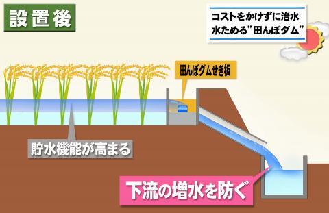 田んぼダムの貯水機能