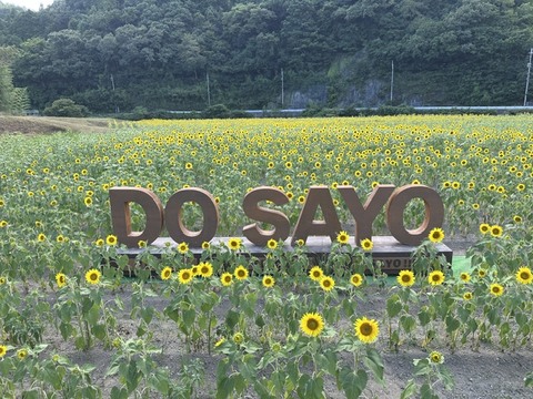 漆野地区にも「DO SAYO」が登場！