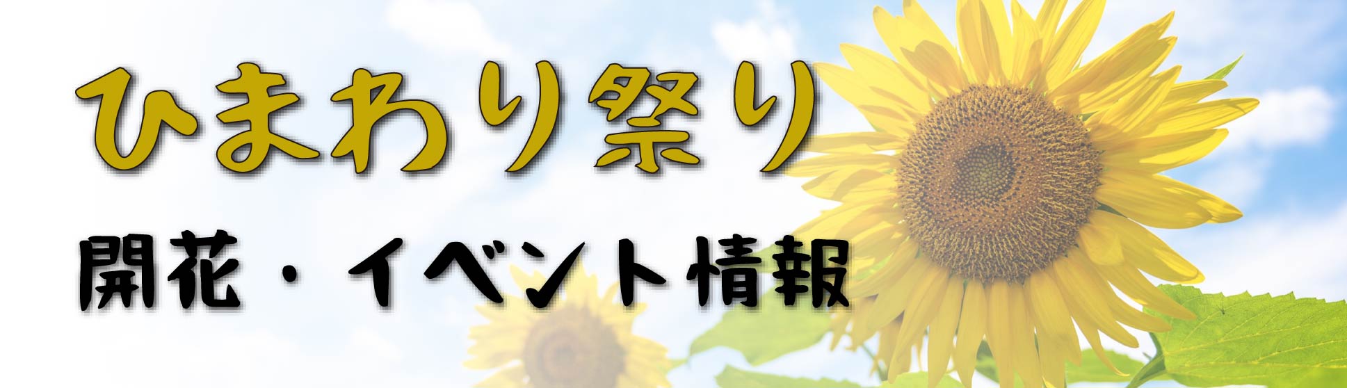 2022ひまわり祭り