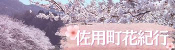 佐用町花紀行