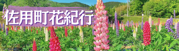 佐用町花紀行