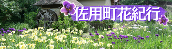 佐用町花紀行