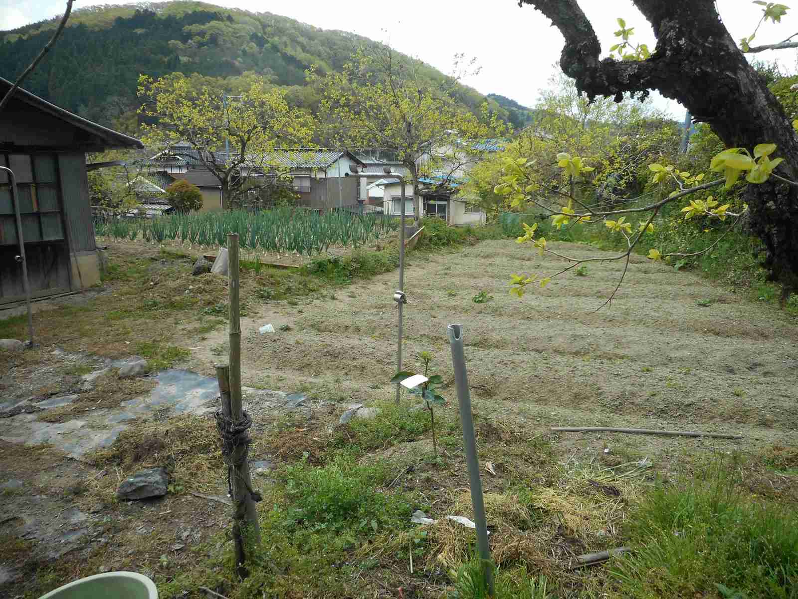 detached 乃井野