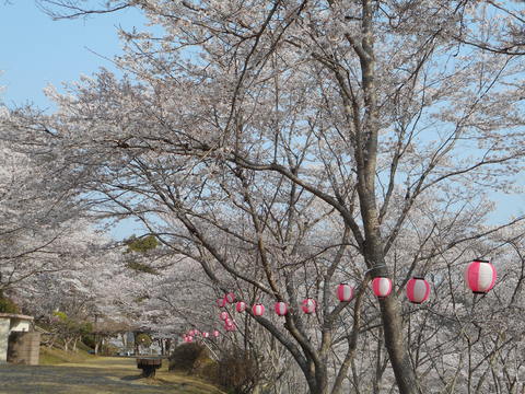 笹ヶ丘公園