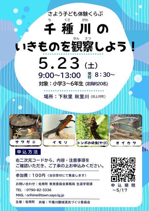 「千種川のいきものを観察しよう！」チラシ