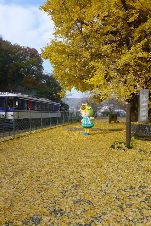 イチョウ公園に遊びに来たよ。