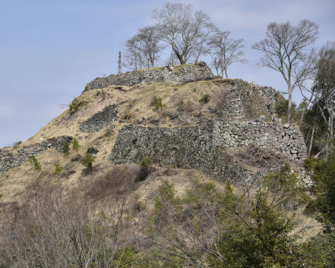 山城地区の石垣の現況