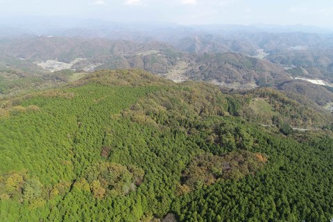 佐用町内山林