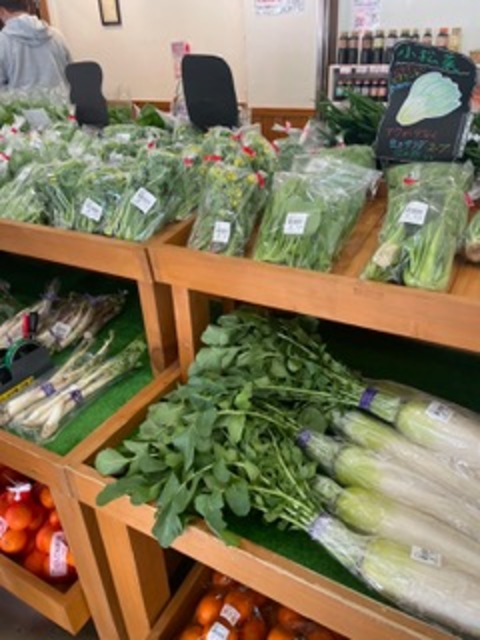 直売所の新鮮な野菜