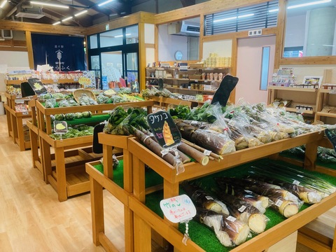直売所の新鮮な野菜