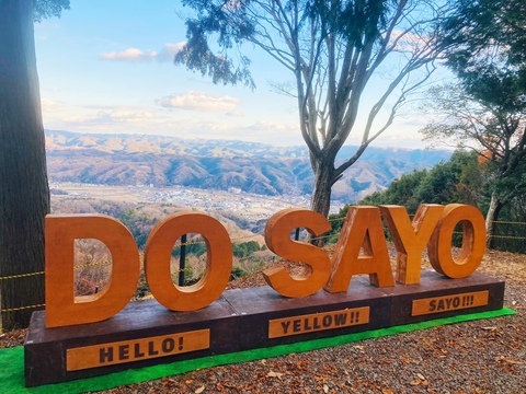 佐用の朝霧展望台