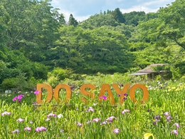 西新宿おじいちゃんとおばあちゃんの花しょうぶ園