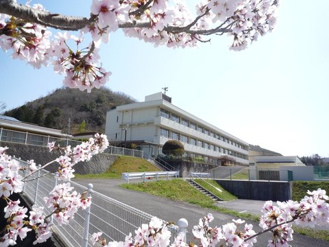 校舎と桜