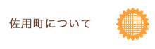 佐用町について