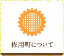 佐用町について