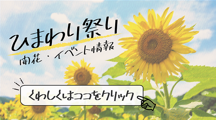 2024ひまわり祭り